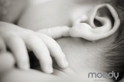 newborn photography, newborn photography, professional baby photos, newborn portraits,